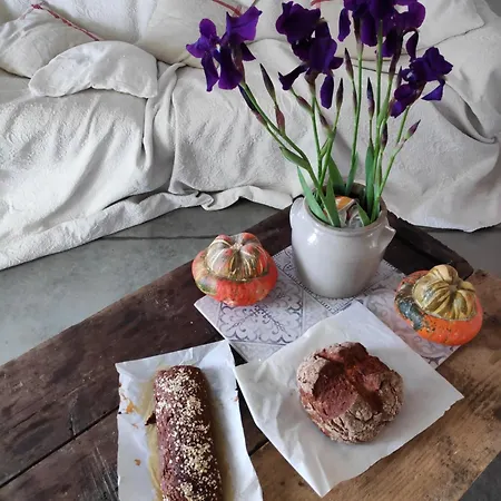 La Chambre De Seraphin Bed & Breakfast Navacelles