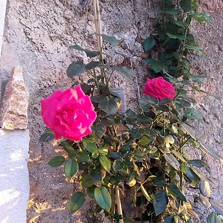 Bed & Breakfast La De Seraphin